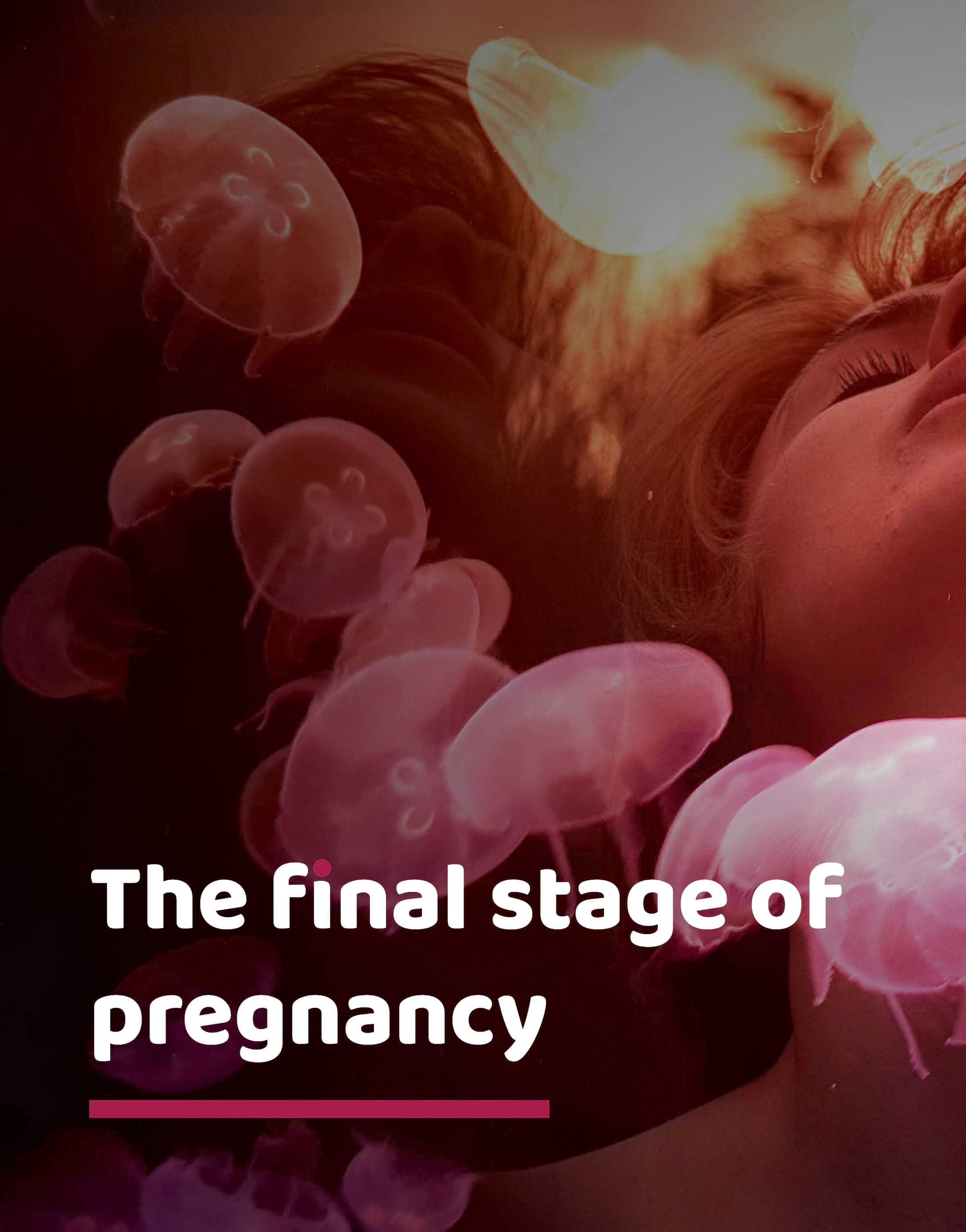 Garbhyatra+Garbhahar (Hindi) + Hanuman Chalisa Therapy For Pregnancy + Free Positivity